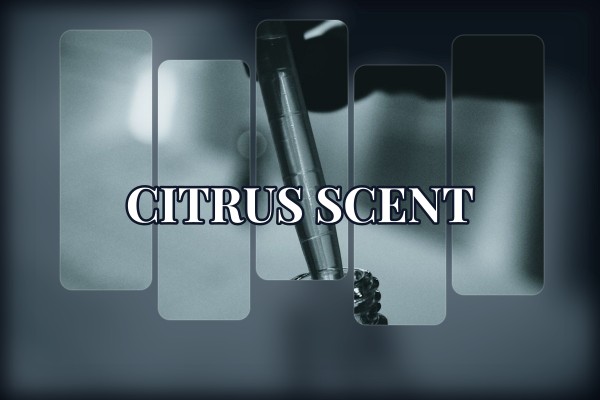 citrus scent