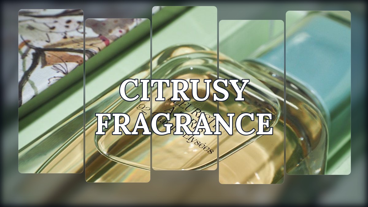 citrusy fragrance