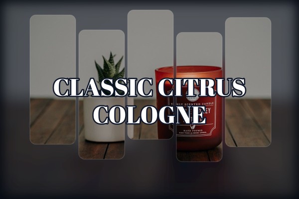 classic citrus cologne