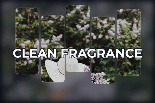 clean fragrance