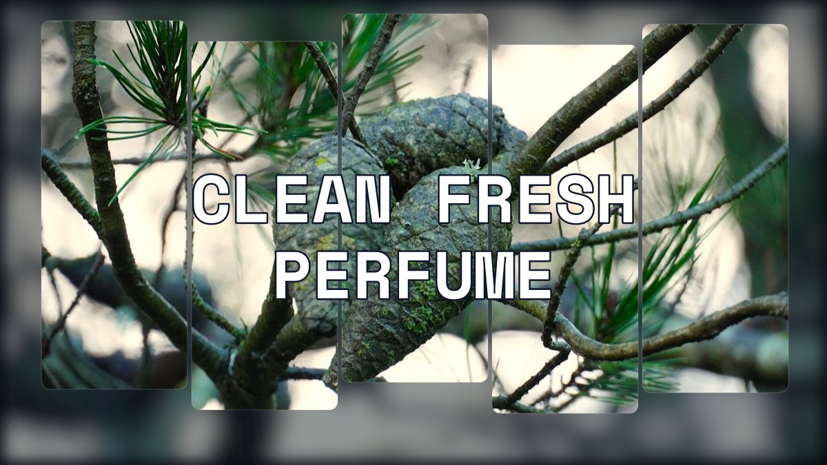 clean fresh perfume