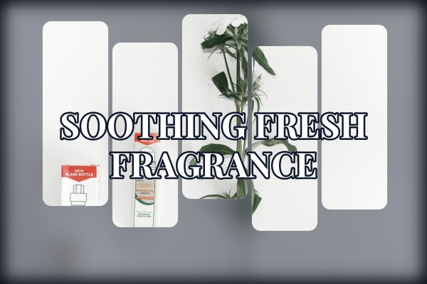 soothing fresh fragrance