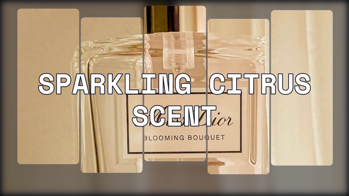 sparkling citrus scent
